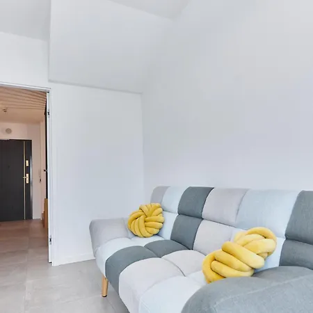 - Lividus 436 * シフィノウイシチェ